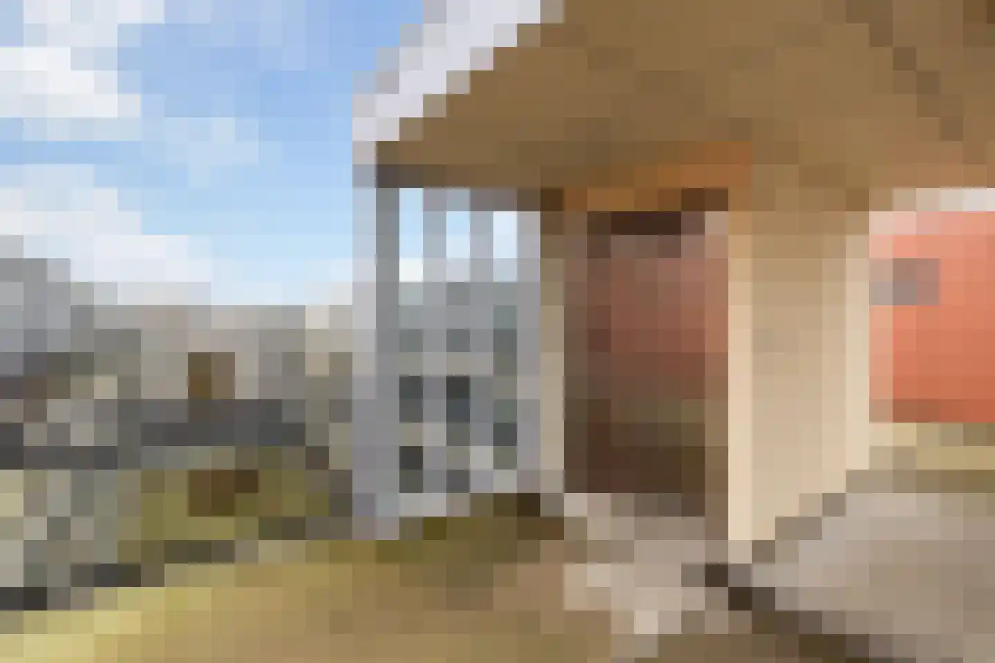 Apollolaan 80 Oegstgeest thumbnail 31