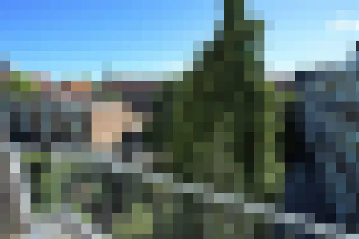 Apollolaan 83 Amsterdam thumbnail 6