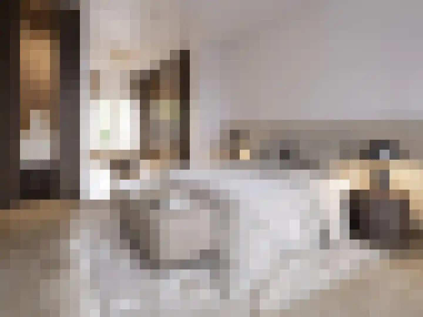 Apollolaan 87 C Amsterdam thumbnail 12