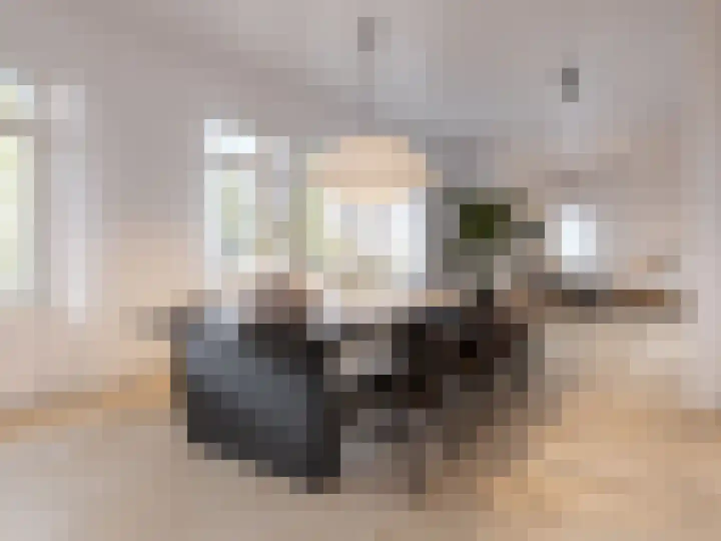 Apollolaan 87 C Amsterdam thumbnail 9