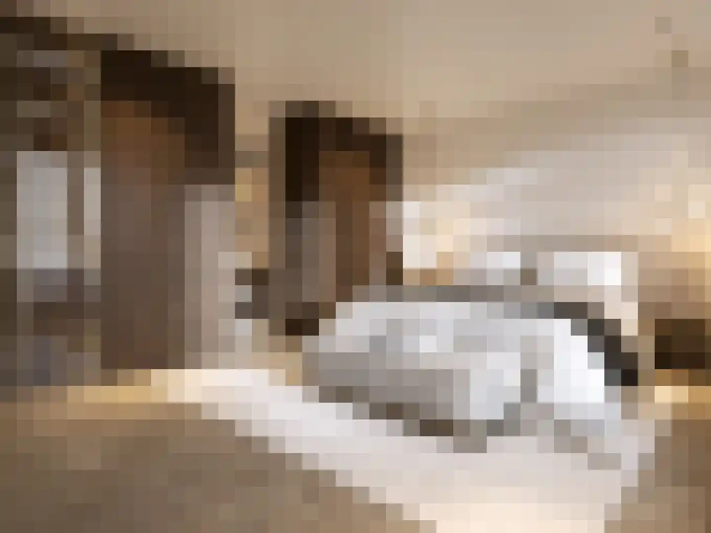 Apollolaan 87 E Amsterdam thumbnail 6