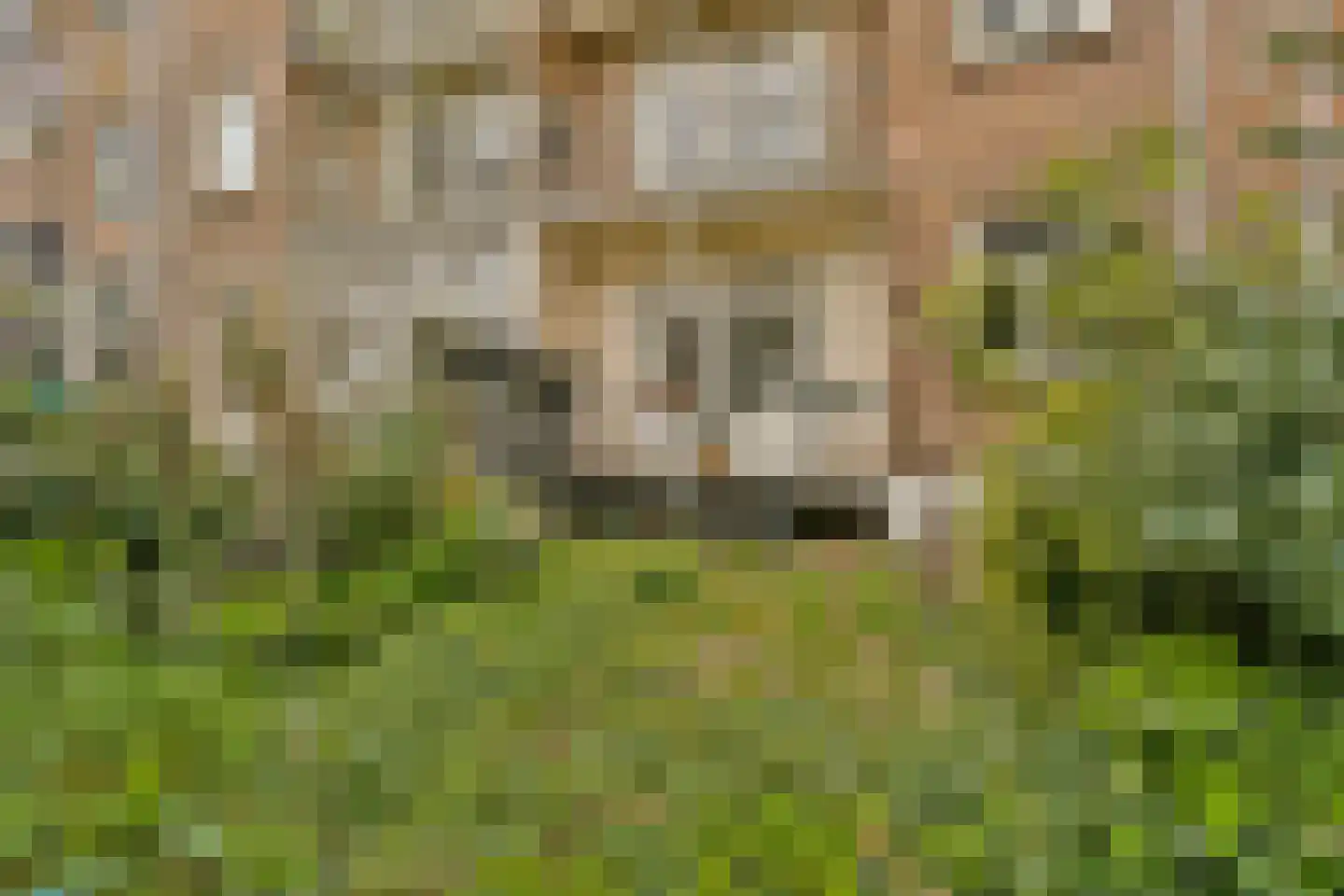 Apollolaan 91 Amsterdam thumbnail 10
