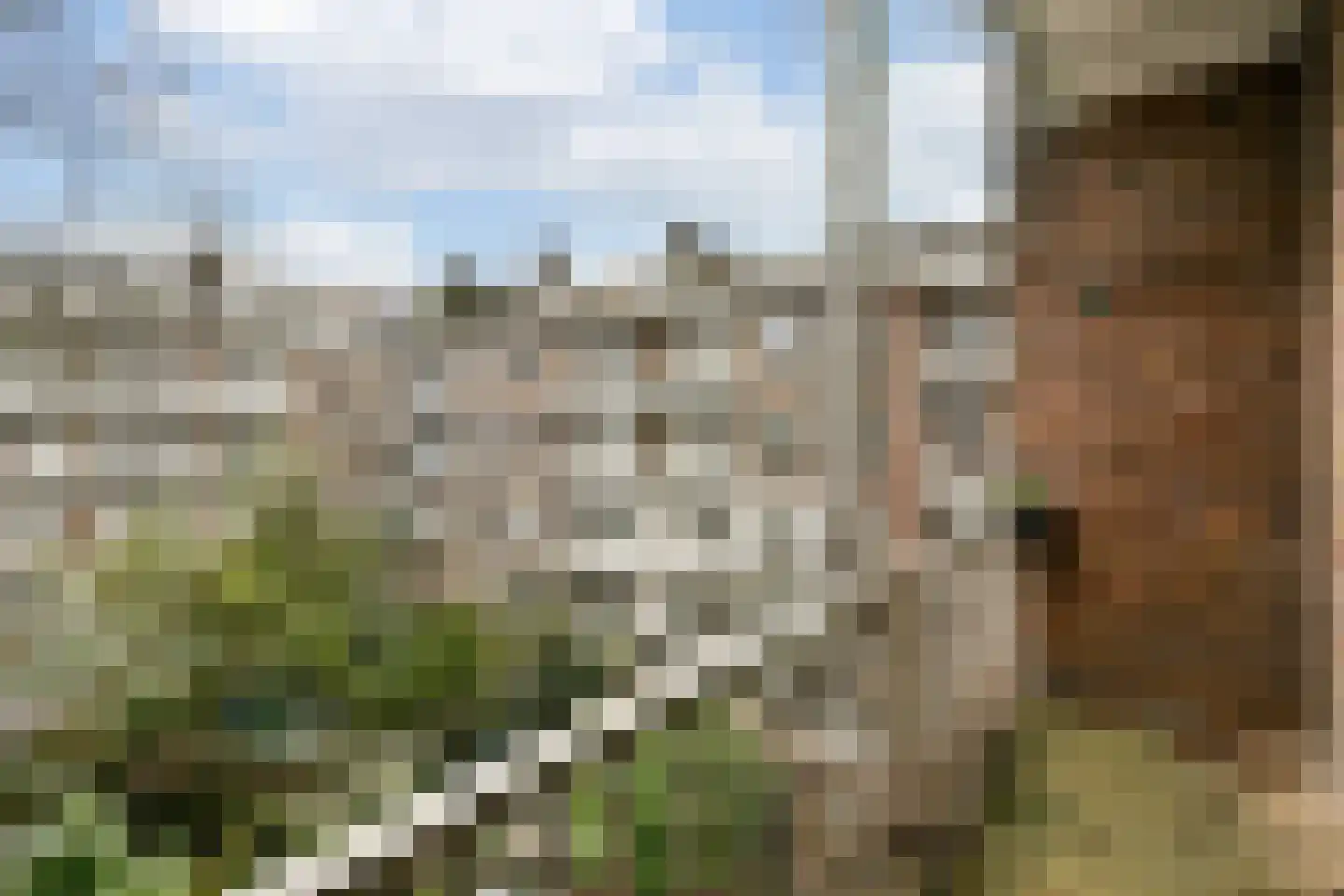 Apollolaan 91 Amsterdam thumbnail 14