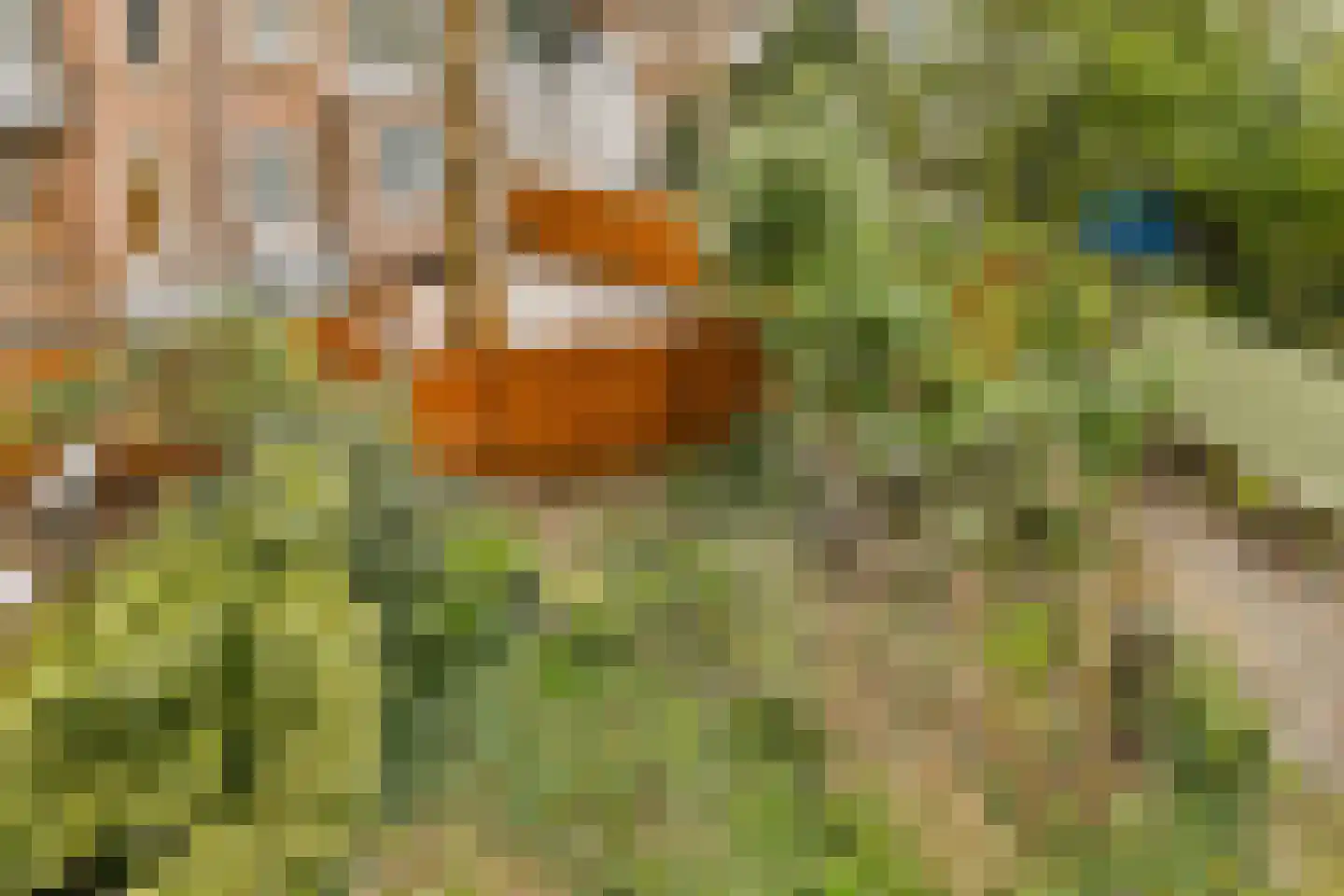 Apollolaan 91 Amsterdam thumbnail 30