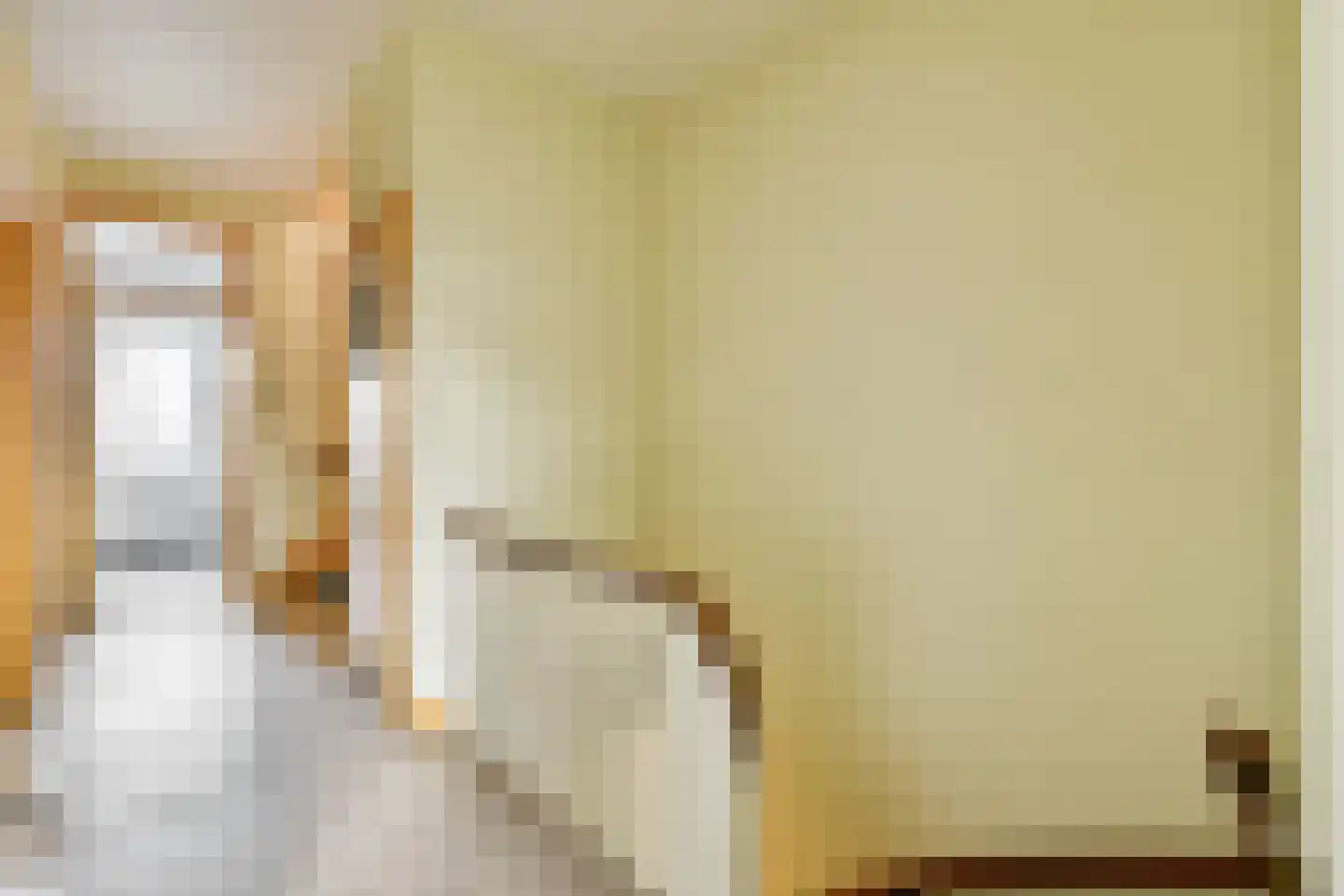 Apollolaan 91 Amsterdam thumbnail 37