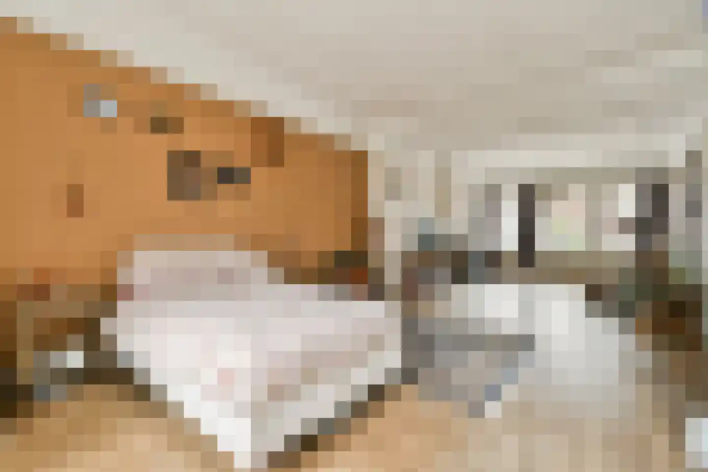 Apollolaan 91 Amsterdam thumbnail 6