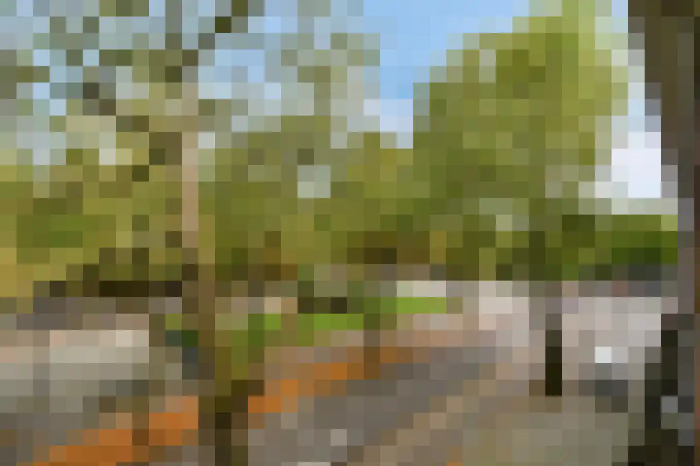 Apollolaan 95 2 Amsterdam thumbnail 17