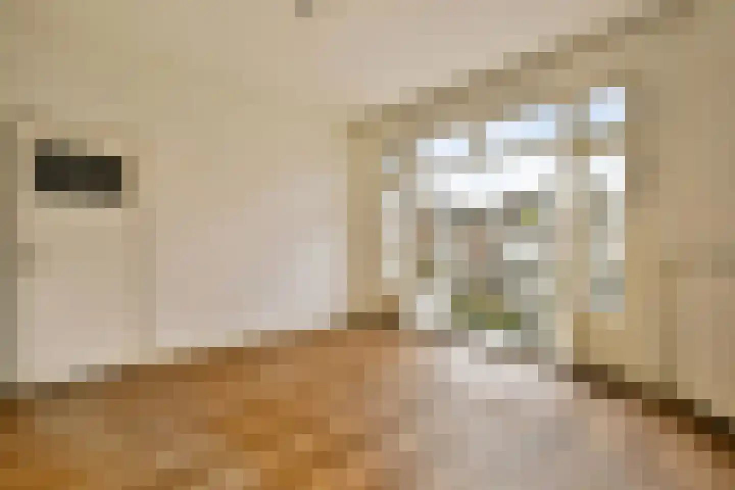Apollolaan 95 2 Amsterdam thumbnail 22