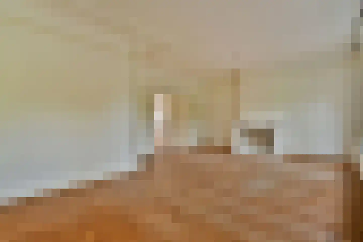 Apollolaan 95 2 Amsterdam thumbnail 4
