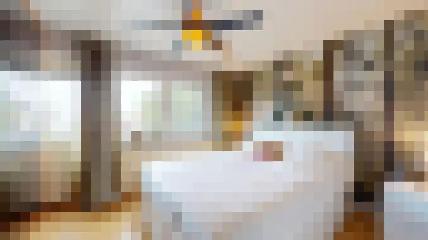 Apolloniastraat 28 Munstergeleen thumbnail 13