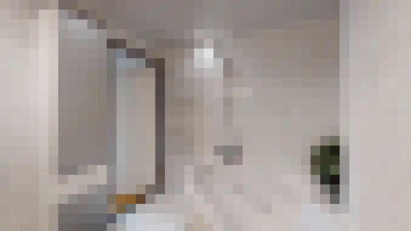 Apolloniastraat 28 Munstergeleen thumbnail 21