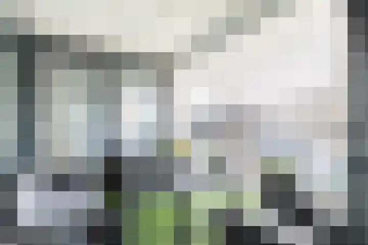 Apollopad 102 Assen thumbnail 34