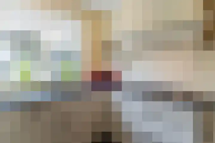 Apollopad 102 Assen thumbnail 57
