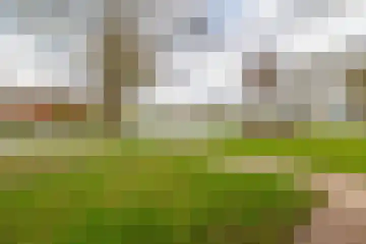 Apollopad 102 Assen thumbnail 9