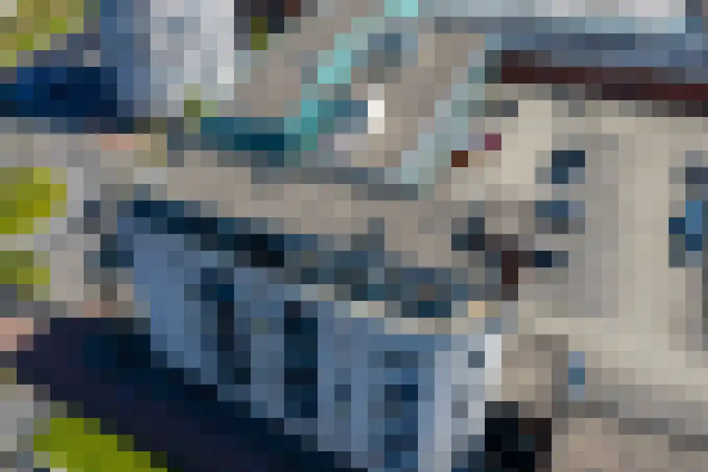 Apollopad 126 Assen thumbnail 57