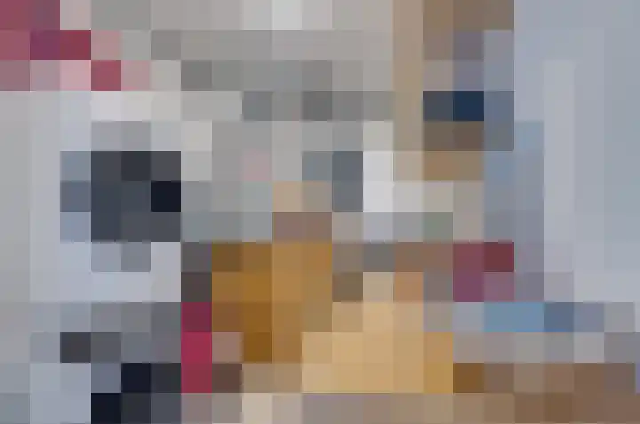 Apollopad 3 G Assen thumbnail 36
