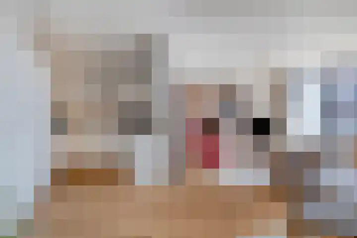 Apollopad 3 K Assen thumbnail 21
