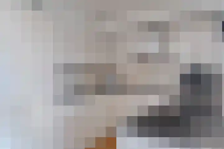 Apollopad 3 K Assen thumbnail 22