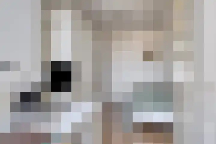 Apollopad 3 K Assen thumbnail 33