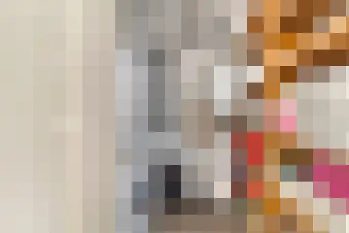 Apollopad 3 K Assen thumbnail 34