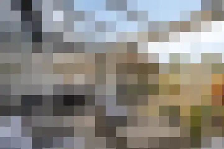 Apollopad 3 K Assen thumbnail 36