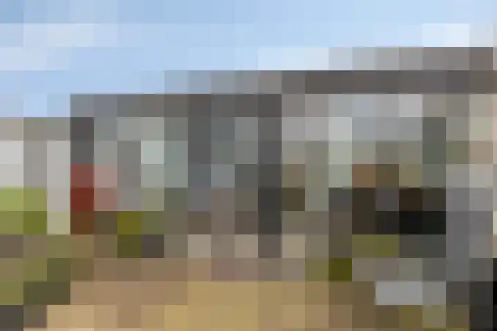 Apollopad 3 K Assen thumbnail 38