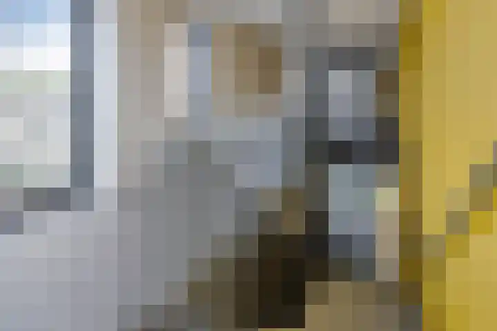 Apollopad 3 K Assen thumbnail 44