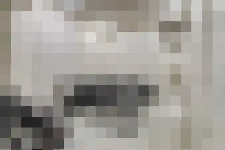Apollopad 3 K Assen thumbnail 46