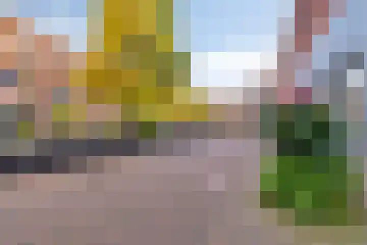 Apollopad 3 K Assen thumbnail 50
