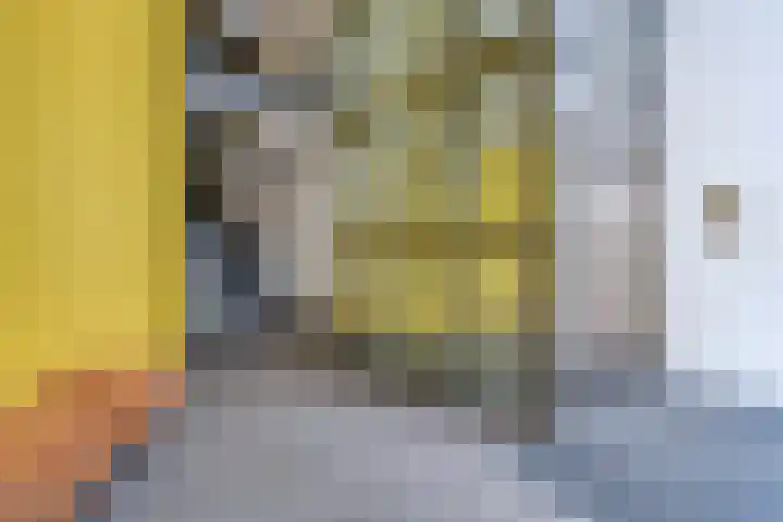Apollopad 3 K Assen thumbnail 6