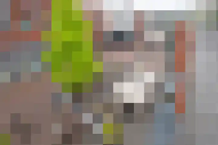 Apollopad 46 Assen thumbnail 31