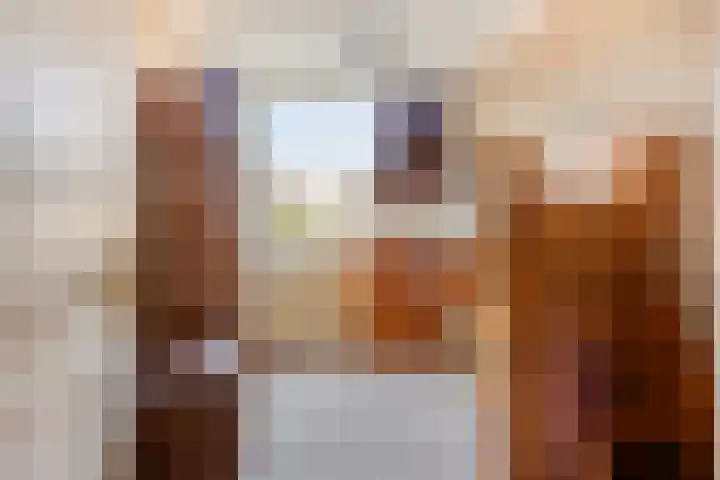 Apollopad 47 Boxtel thumbnail 29