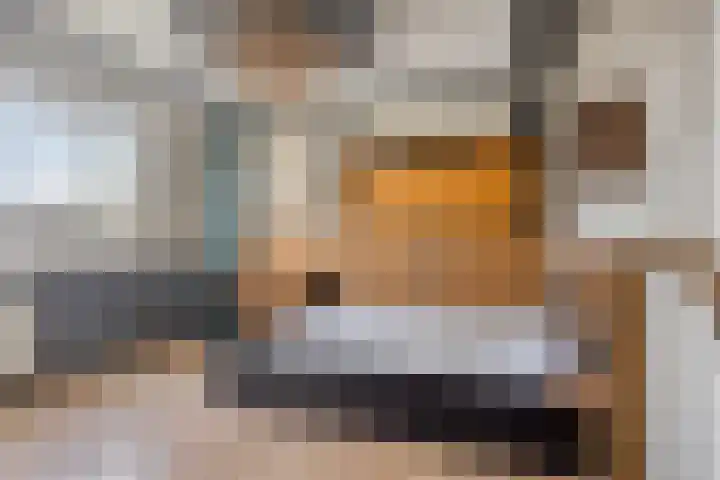Apollopad 47 Boxtel thumbnail 5