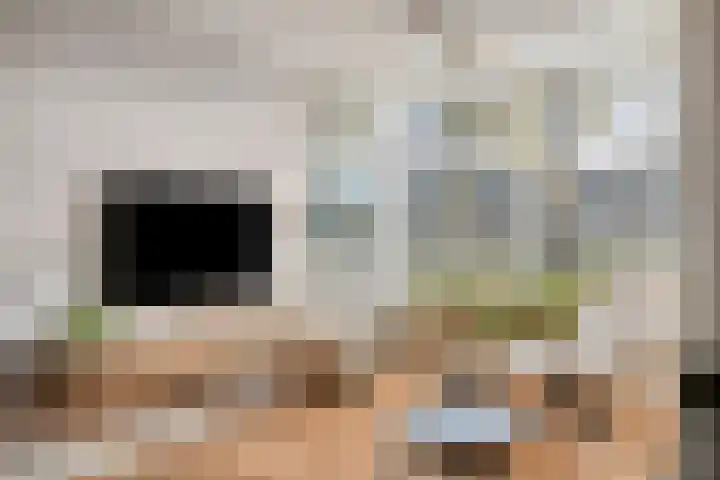 Apollopad 51 Boxtel thumbnail 14