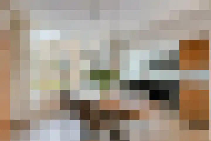 Apollopad 51 Boxtel thumbnail 18
