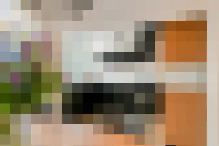 Apollopad 51 Boxtel thumbnail 19