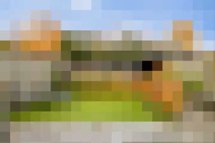 Apollopad 51 Boxtel thumbnail 37