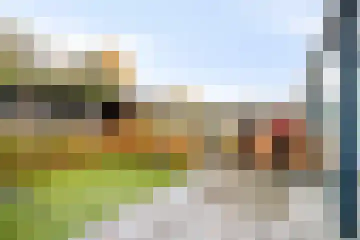 Apollopad 51 Boxtel thumbnail 38