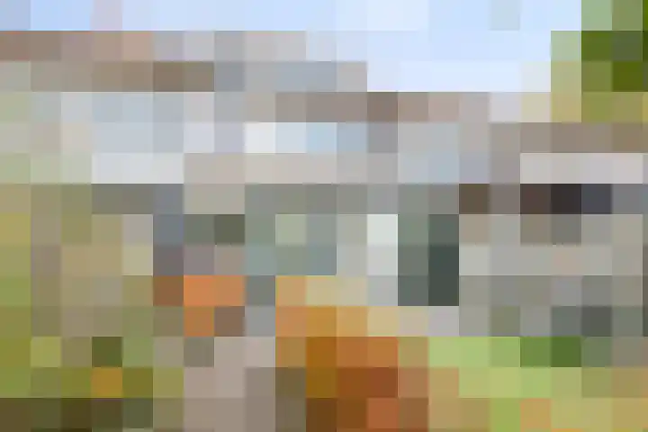 Apollopad 51 Boxtel thumbnail 39