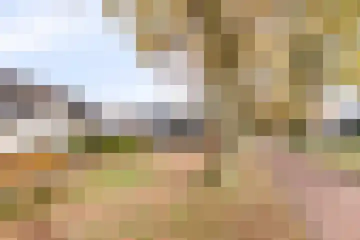 Apollopad 51 Boxtel thumbnail 9