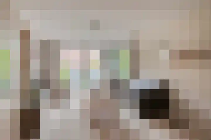 Apollopad 6 Assen thumbnail 11
