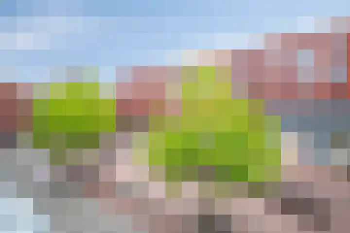 Apollopad 6 Assen thumbnail 23