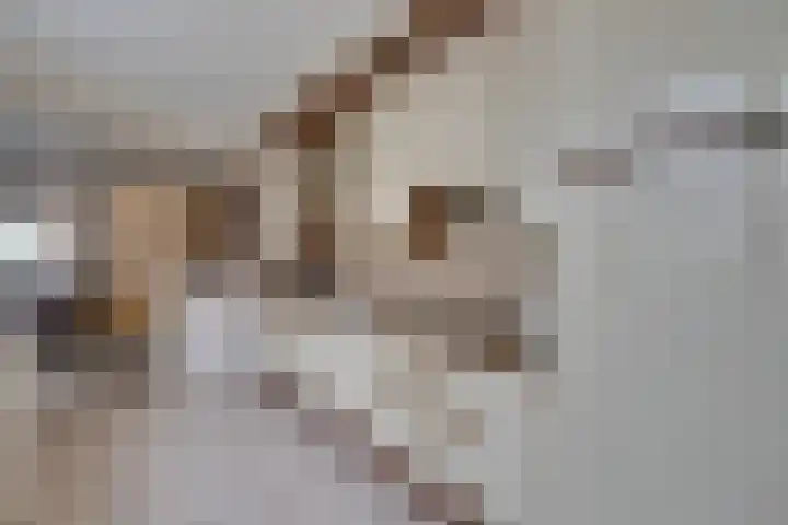 Apolloplantsoen 14 Volendam thumbnail 21