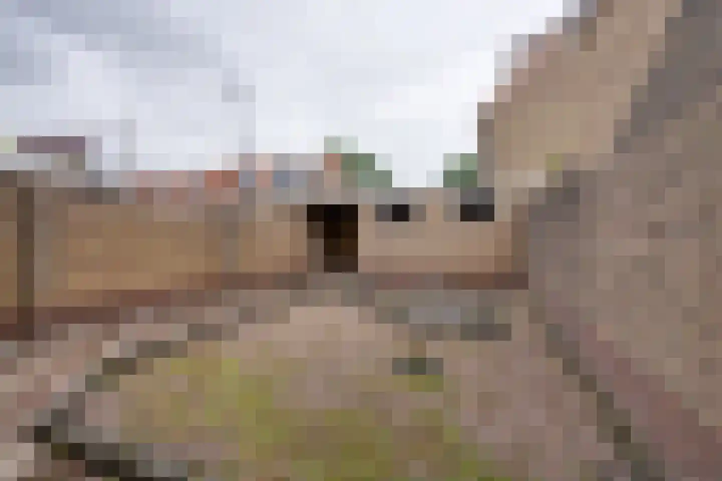 Apolloplantsoen 17 Volendam thumbnail 23