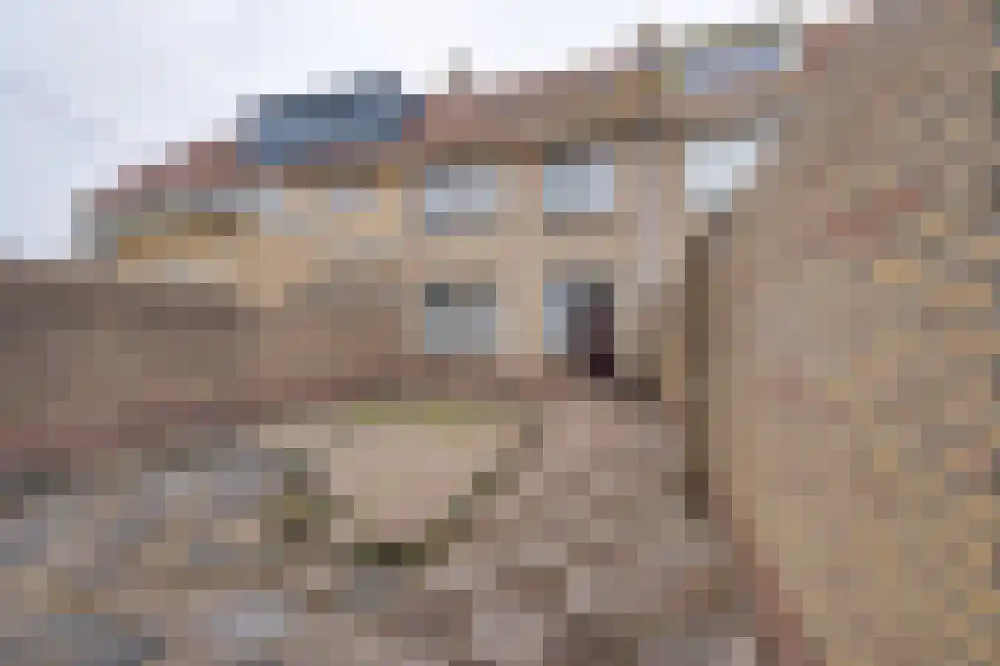 Apolloplantsoen 17 Volendam thumbnail 24