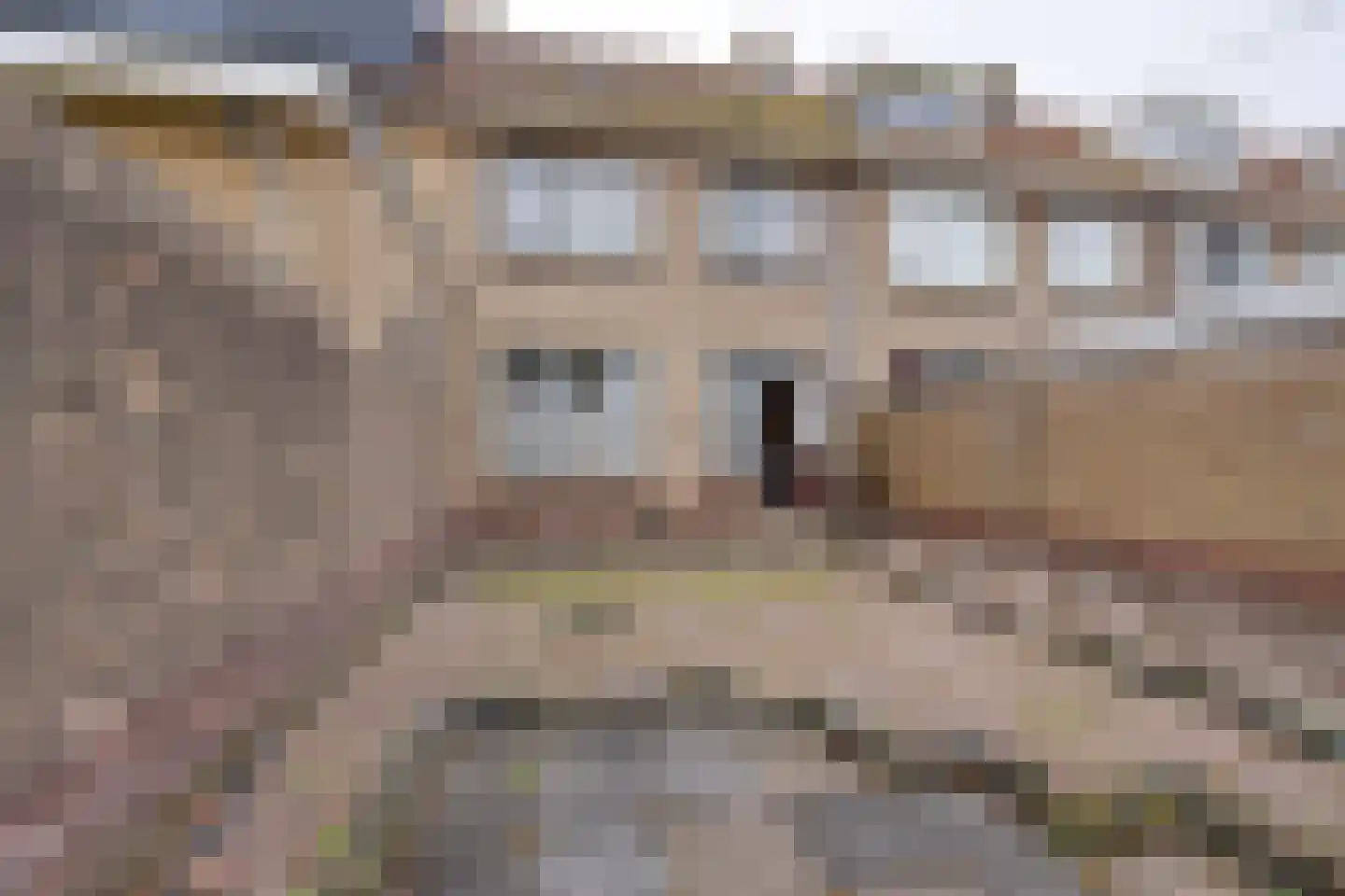Apolloplantsoen 17 Volendam thumbnail 25