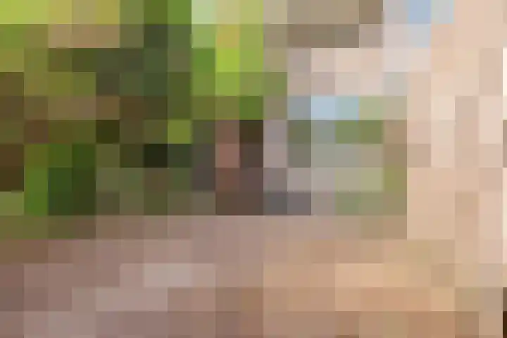 Apolloplantsoen 17 Zaandam thumbnail 18