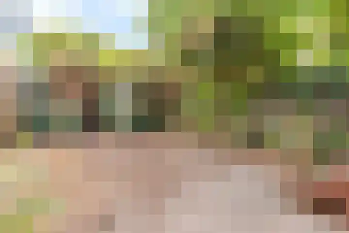 Apolloplantsoen 17 Zaandam thumbnail 20