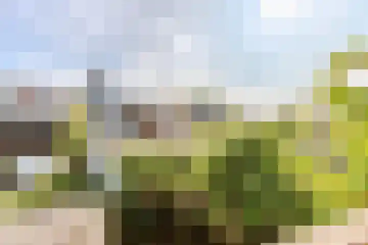 Apolloplantsoen 17 Zaandam thumbnail 32