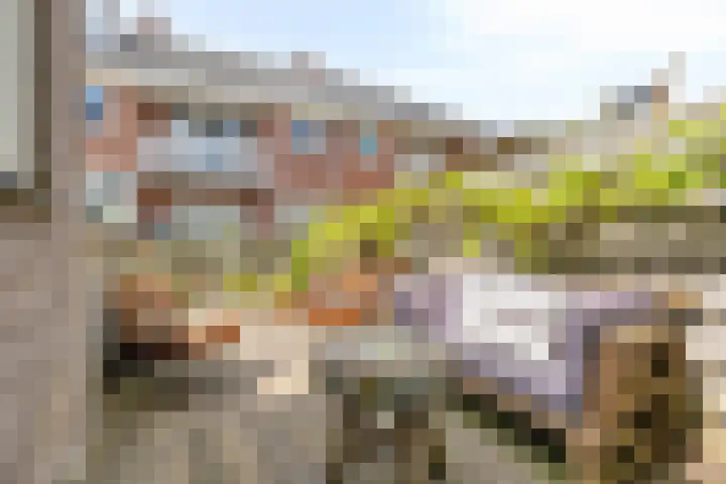 Apolloplantsoen 24 Zaandam thumbnail 30